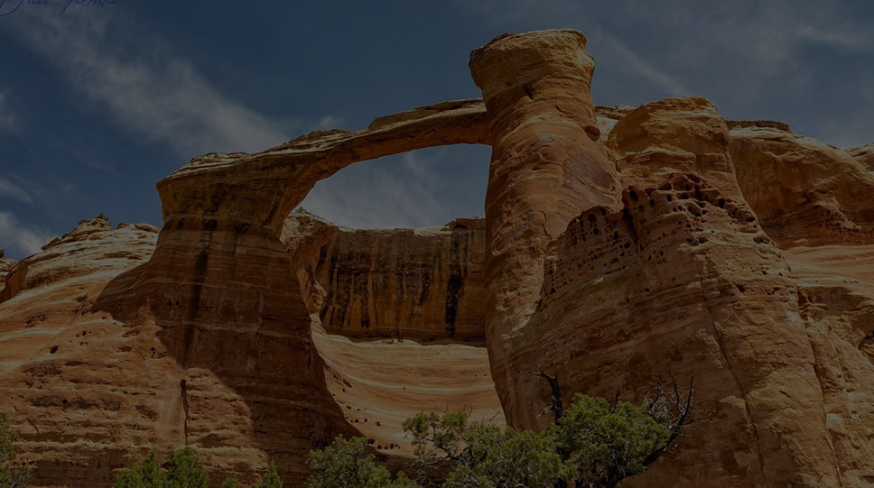 Grand Junction Moving Company